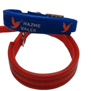 Collar para perro