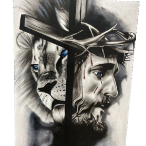 Cuadro furia y paz