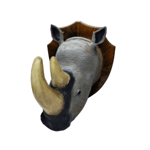 Cabeza Rinoceronte