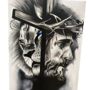 Cuadro furia y paz