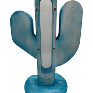 Alcancía "Cactus"