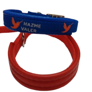 Collar para perro