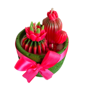 Vela Cactus con flor con maceta